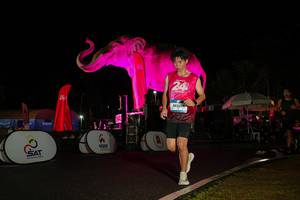 BIB: 
                            <button type="button" onclick="openModal(26543724)" class="btn btn-primary btn-sm float-right btn-popup" data-toggle="modal" data-target=".modal-high-quality">
                        <i class="fas fa-shopping-cart"></i> Add to Cart
                    </button>
                                            <button type="button" onclick="isThisMe(26543724, true)" class="btn btn-success btn-sm float-right btn-popup btn-isme hidden" data-toggle="tooltip" data-placement="bottom" title="นี่คือรูปของคุณใช่ไหม คลิกที่นี่เพื่อเอาเข้าอัลบั้ม">
                        <i class="fas fa-plus"></i> Add to album
                    </button>
                    <button type="button" onclick="isThisMe(26543724, false)" class="btn btn-warning btn-sm float-right btn-popup btn-isnotme hidden">
                        <i class="fas fa-ban"></i> Remove from album
                    </button>